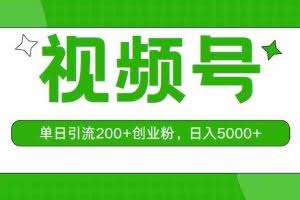（10639期）视频号，单日引流200+创业粉，日入5000+