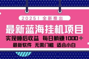 （14478期）2025最新挂机躺赚项目 一台电脑轻松日入500