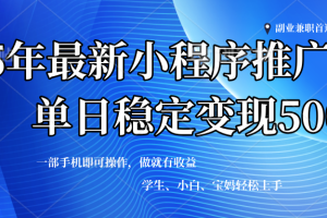 （14132期）2025年微信小程序最新升级玩法，全自动推广，稳定日入500+，小白轻松上手
