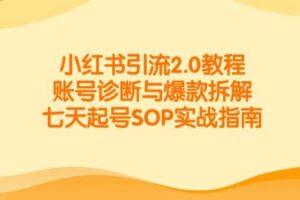 （14981期）小红书引流2.0教程，账号诊断与爆款拆解，七天起号SOP实战指南