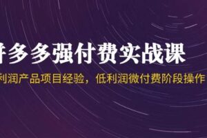 （14874期）拼多多强付费实战课-44期，高利润产品项目经验，低利润微付费阶段操作