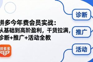 （18273期）拼多多年费会员实战(更新26年4月30)：从基础到高阶盈利，干货拉满，诊断+推广+活动全教