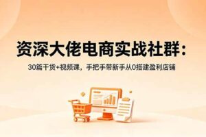 （18529期）资深大佬电商实战社群：30篇干货+视频课，手把手带新手从0搭建盈利店铺