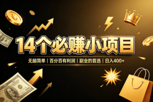 (19267期)14 个必赚小项目,无脑简单,百分百有利润,副业的首选,日入 400+